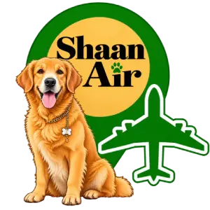 logo-1